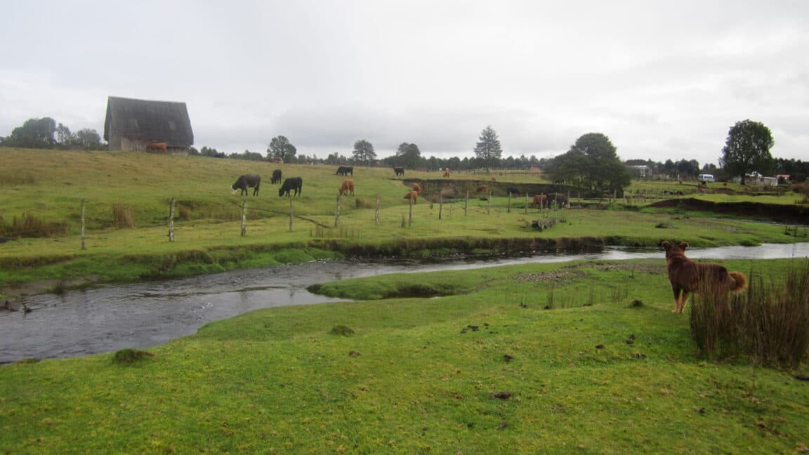 Monte Verde site gets a new date, but the big picture doesn't change