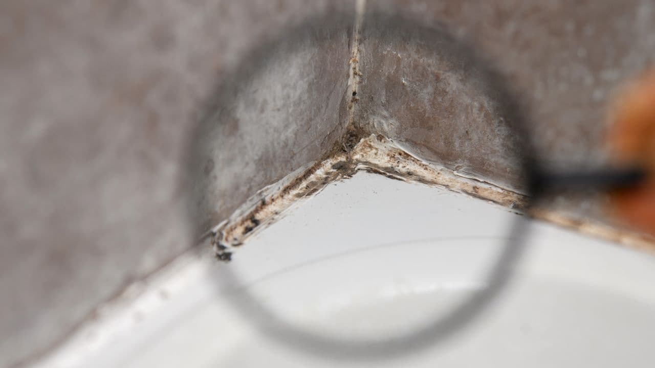 Damaged caulking invites a summer mold surge during heatwaves (here's what to do about it)