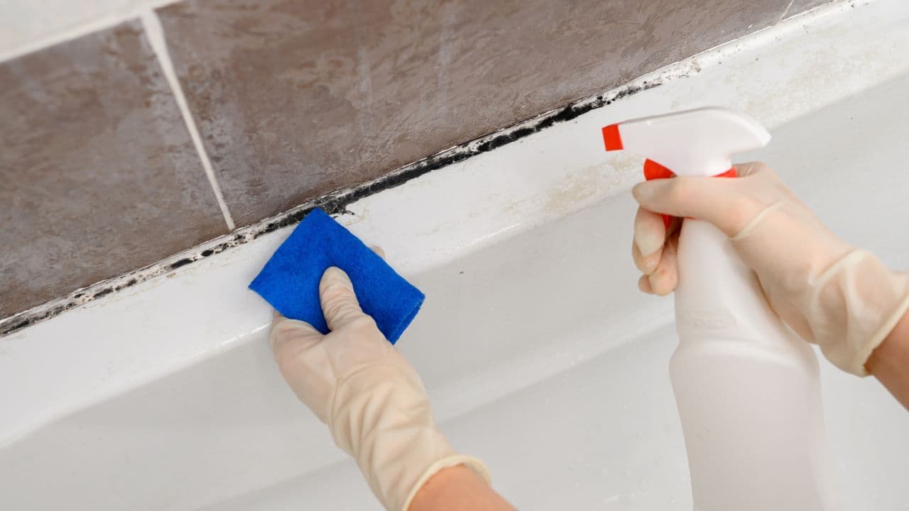 How often should you clean your bathroom to prevent black or pink mold? I asked an expert
