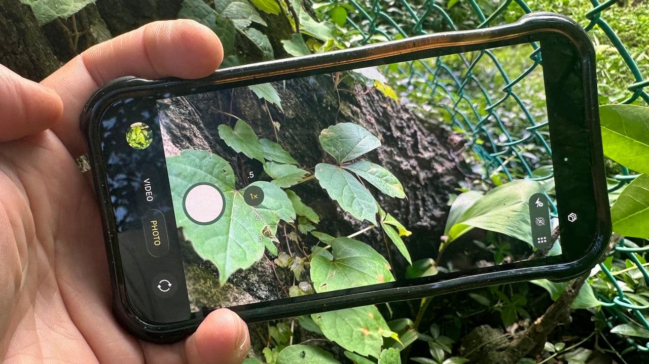 I'm seriously allergic to poison ivy — this Gemini feature helps me when I'm weeding