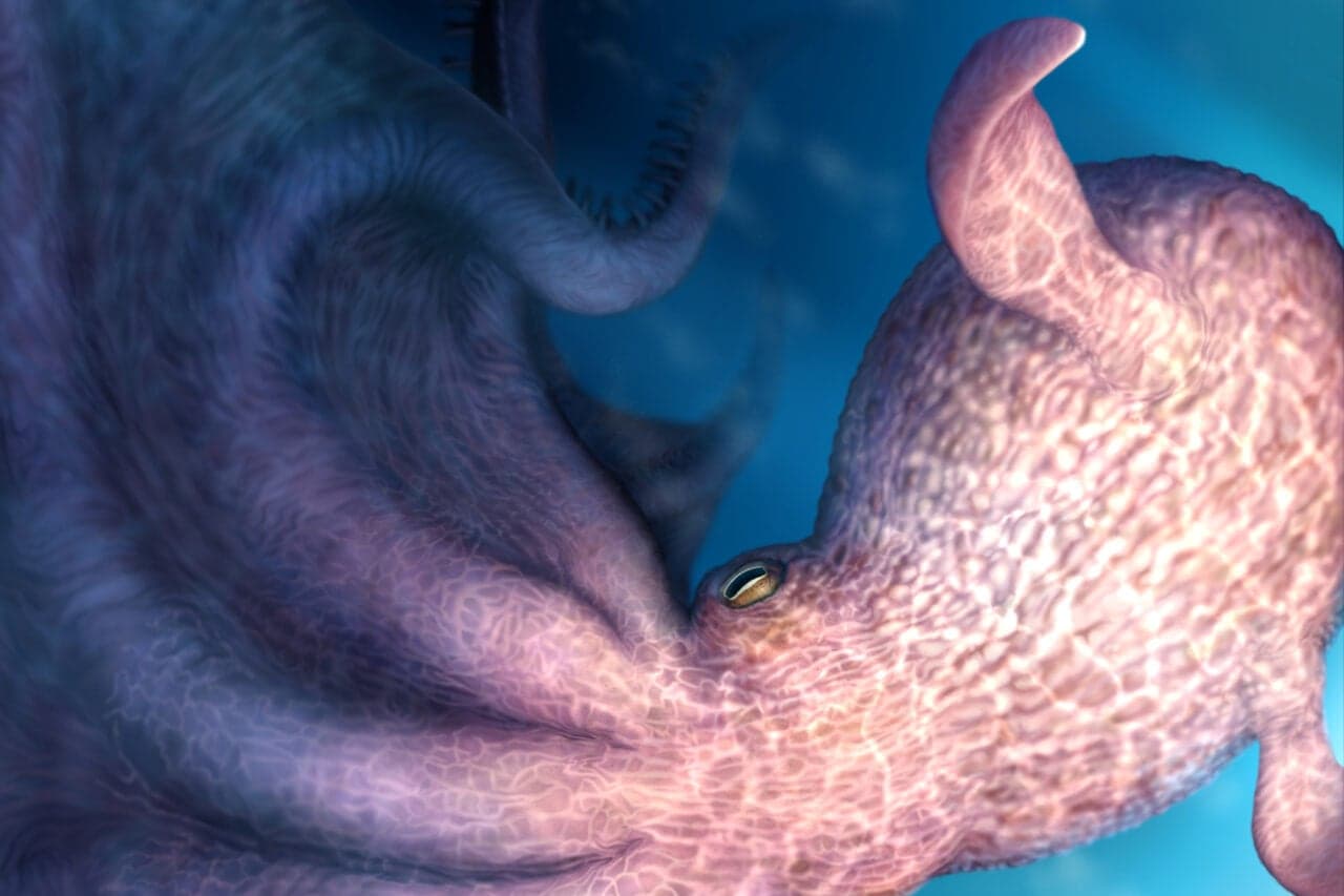This 62-Foot ‘Kraken’ Octopus Terrorized Cretaceous Seas