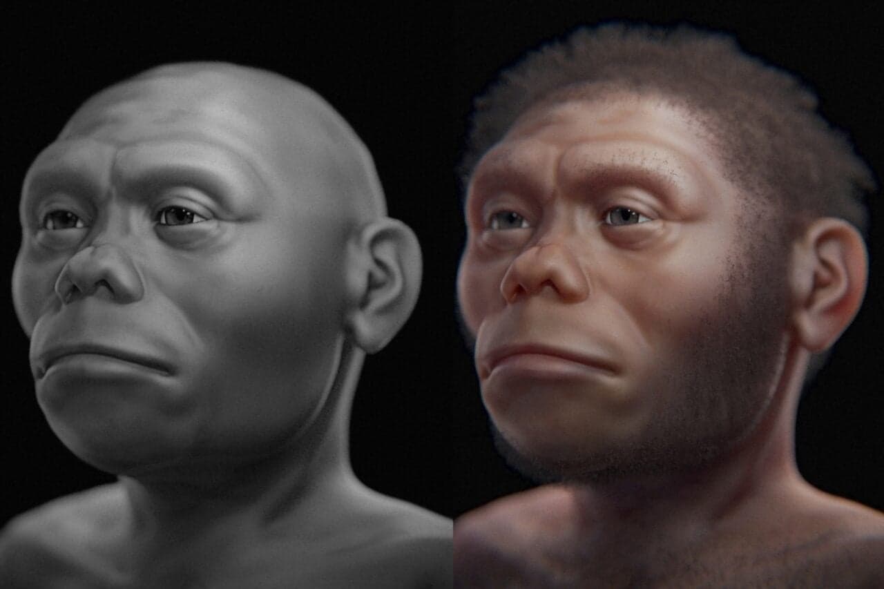 Uncovering the Secrets of a Hobbit-Like Ancestor's Island Survival with Komodo Dragons