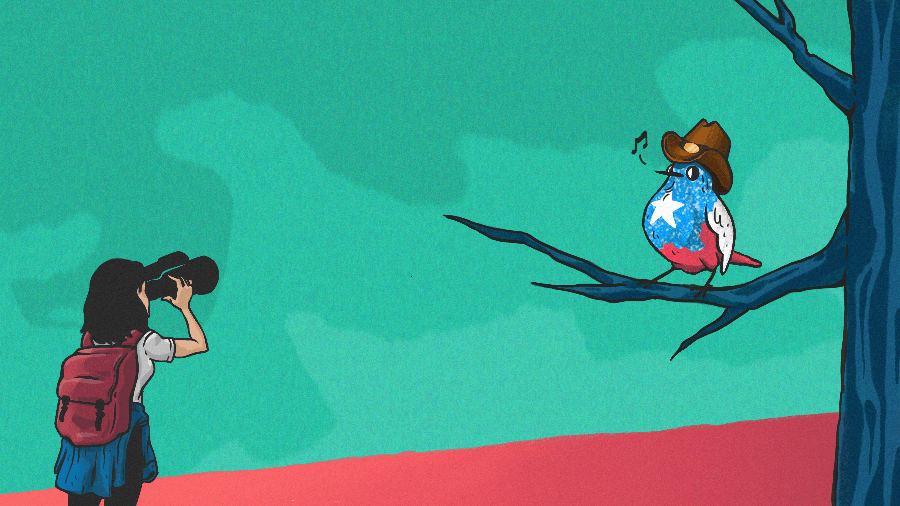 Austin’s Star Is Still Shining Bright: Venture Funding To City’s Startups Hits All-Time High