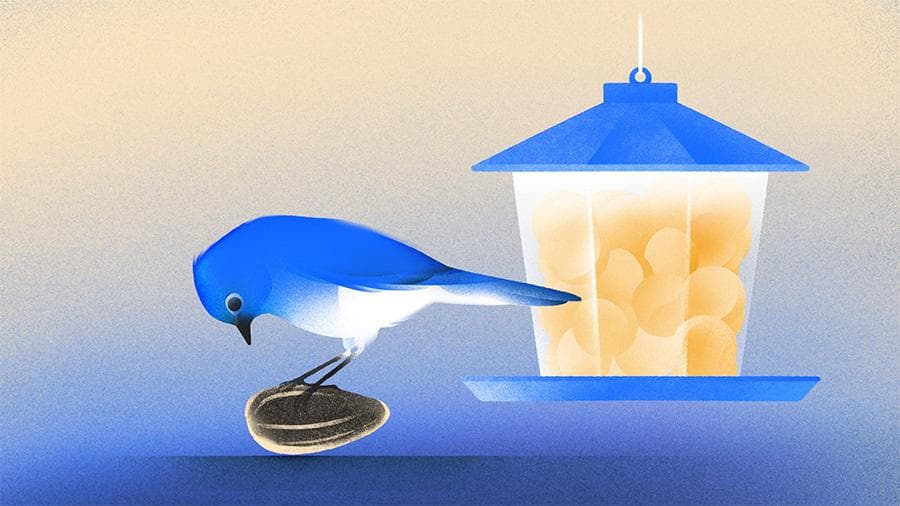 Seed Funding Hasn’t Stalled, But It’s Skewing Larger And Is More Competitive Than Ever, Crunchbase Data Shows