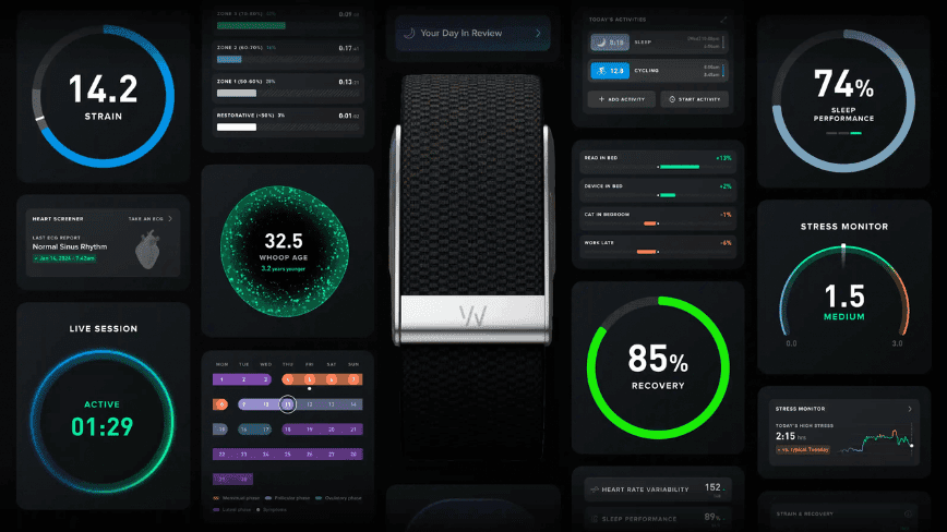 WHOOP raises $575m at $10.1bn valuation, signals IPO ahead